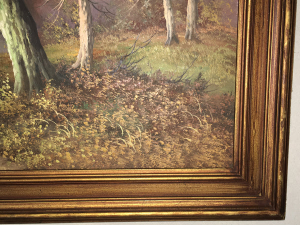 Forest Stream Landscape OOC