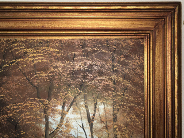 Forest Stream Landscape OOC