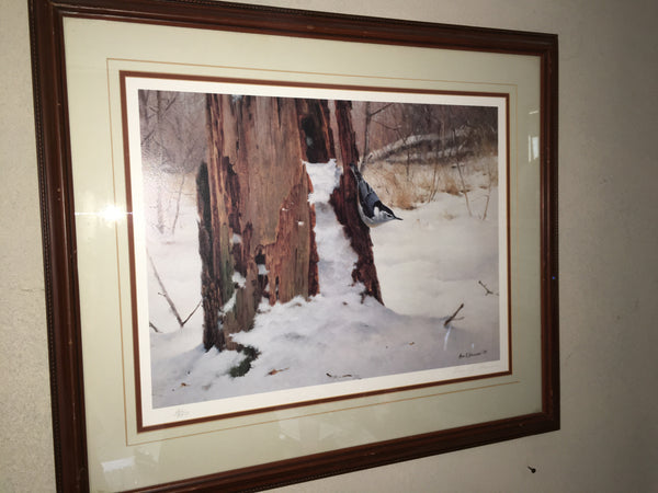 Foraging-White-Breasted Nuthatch Print by Marc Hanson
