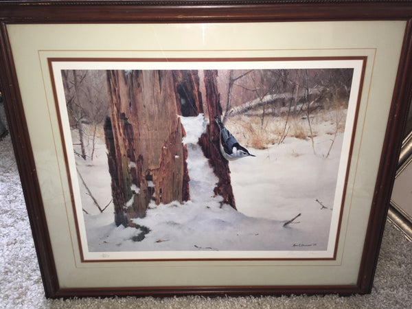 Foraging-White-Breasted Nuthatch Print by Marc Hanson