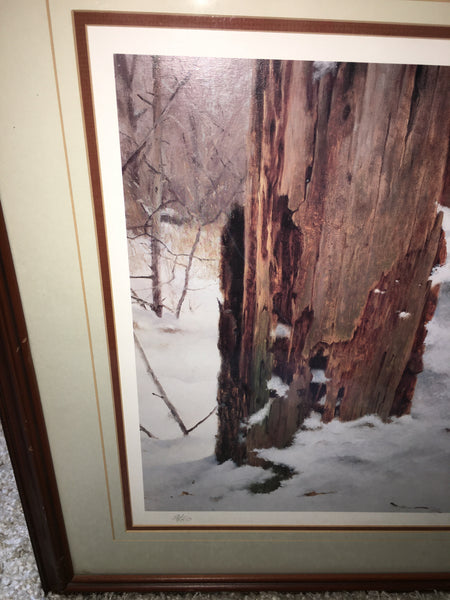Foraging-White-Breasted Nuthatch Print by Marc Hanson