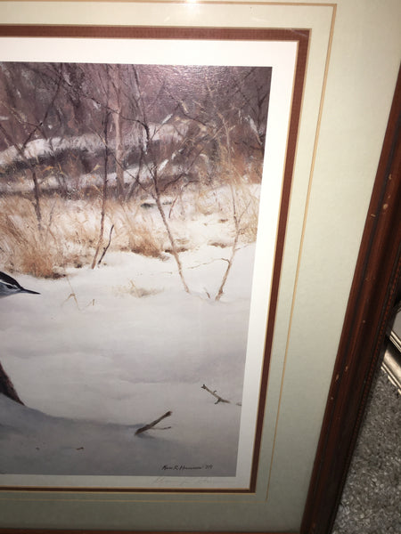 Foraging-White-Breasted Nuthatch Print by Marc Hanson