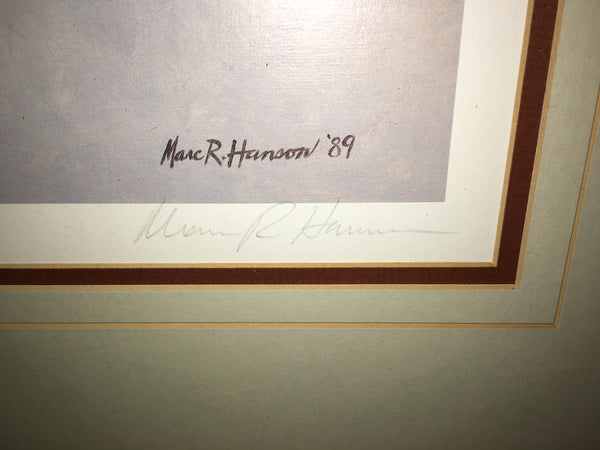 Foraging-White-Breasted Nuthatch Print by Marc Hanson