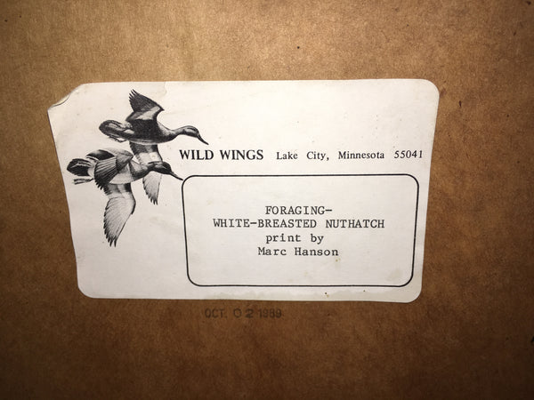 Foraging-White-Breasted Nuthatch Print by Marc Hanson