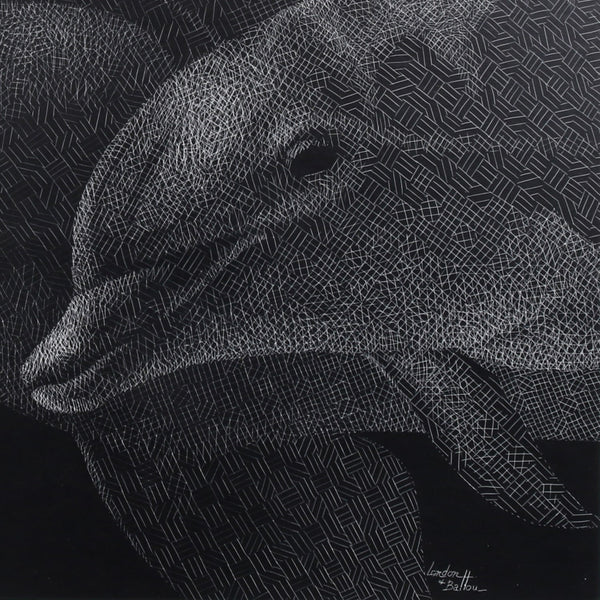 Dolphin Lithograph
