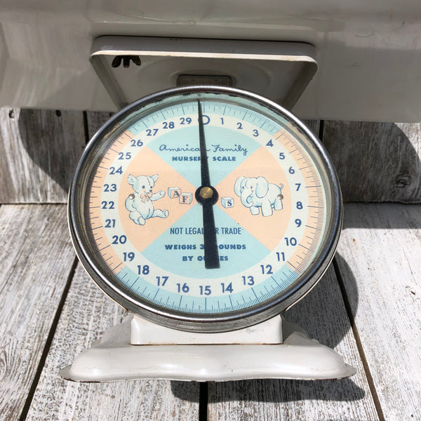 American Family Nursery Scale