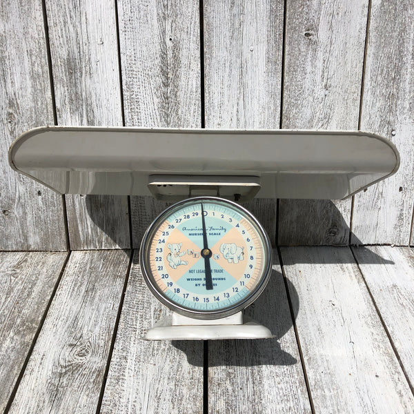 American Family Nursery Scale