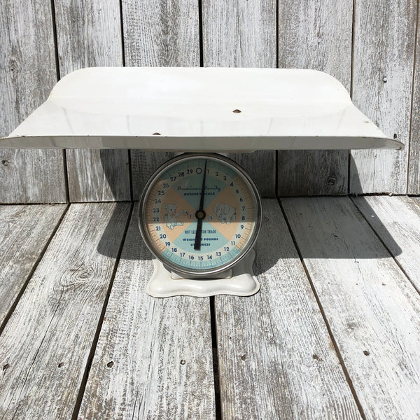 American Family Nursery Scale