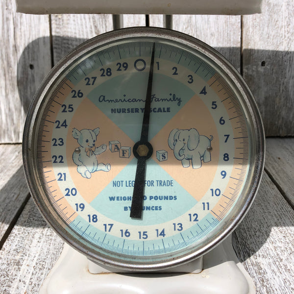 American Family Nursery Scale